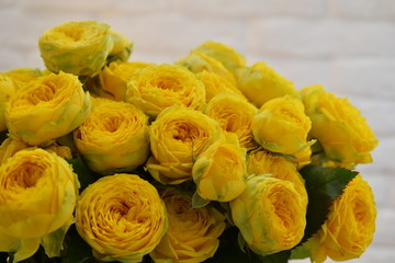 Yellow roses in a glass. Blooming flowers on a table in a vase.