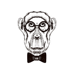 Hipster Monkey Muzzle Wearing Glasses and Bowtie Vector Hand Drawn Illustration