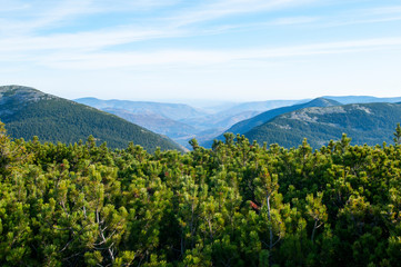 beautiful mountains covered with forest and alpine pine under blue sky