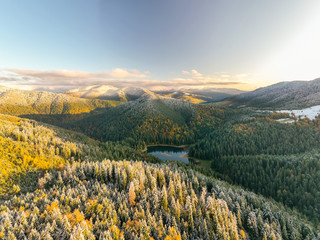 Golden autumn drone view of forest landscape with yellow trees from above