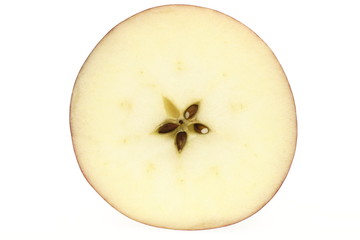 リンゴ　サン津軽　断面