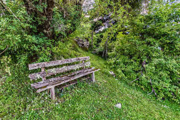 An old wooden bench with lichen on the mountain
