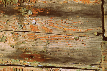 Old wooden surface close up. Abstract background retro style