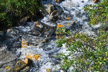 Mountain stream with yellow stones. Rapid flow of river, boiling water
