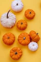 Halloweeen theme with a pumpkins on a yellow background