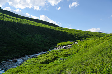 Fototapeta na wymiar River in green hills. Swift stream in green meadow