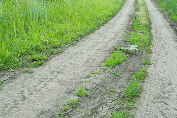 Fototapeta na wymiar Dirt road in countryside. Life in country, travel on field