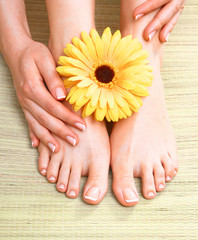 Obraz na płótnie Canvas Closeup photo of a beautiful female feet with pedicure
