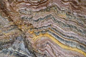 Turbidite folded sediment  rock formations at Quarry Beach, Mallacoota, East Gippsland, Victoria,...