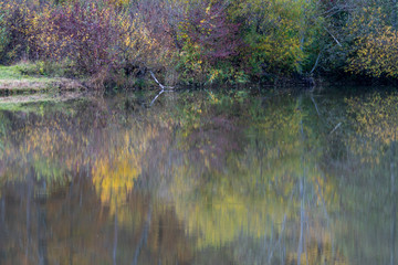 Herbst bei Möhringen Baden -Württemberg Deutschland 