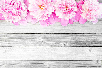Peony flowers on wooden table. Pink petals for background