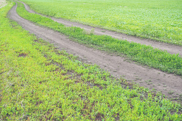 Dirt road in countryside. Life in country, travel on field