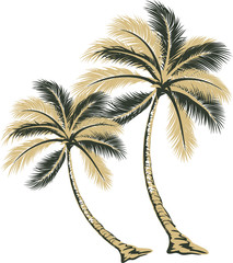 Beautiful hand drawn palm tree