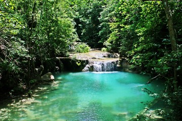 Fototapeta premium Espacio natural (bosque lluvioso) de las cataratas de Erawan en Kanchanaburi, Tailandia.