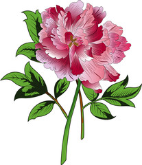 Beautiful hand drawn colour full floral motif
