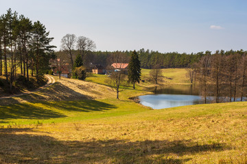 Fototapeta na wymiar Wieckie Lake surrounded by forest, Poland.