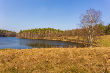 Wieckie Lake surrounded by forest, Poland.