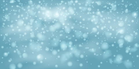 Fototapeta premium Snowflakes, snowfall.