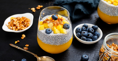 Vegan chia pudding with mango puree, blueberries and granola in a glass .