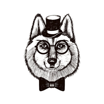 Hipster Wolf Muzzle Wearing Top Hat and Bowtie Vector Hand Drawn Illustration