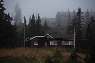 Tundra, Norwegen