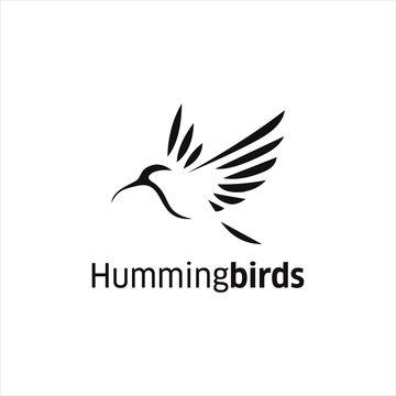  Hummingbirds  Logo Design  Animal Wings Vector