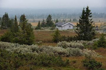 Tundra, Norwegen