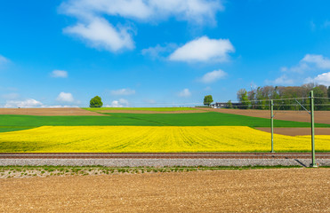 Obraz premium Bright colors of peaceful swiss countryside in spring