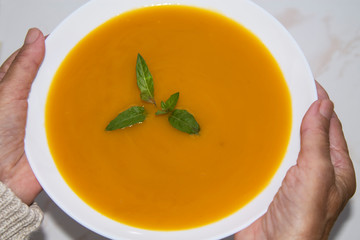 woman holding bowl of vegetable soup