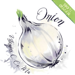 Watercolor organic health food for vegetarians and health care. Fresh raw onion