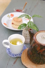 Dessert with green tea on the table