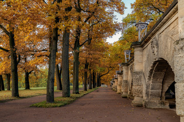 Fototapeta premium Golden autumn in Catherine Park, Pushkin, St. Petersburg, Russia