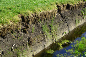 Turf or peat layer in autumn sun in bavaria, close-up of trench cut into deep peat of peatland