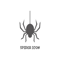 Spider icon simple flat style vector illustration.