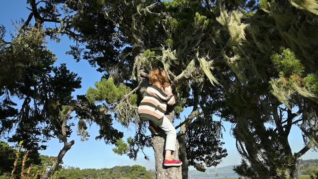 Girl climbing down tree in park