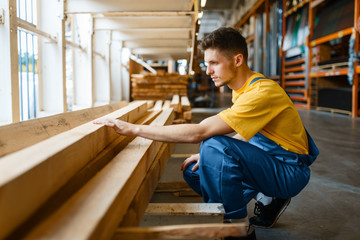 Builder choosing repair materials, hardware store