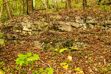 Jura limestone shifts of the Swabian Alb in Germany