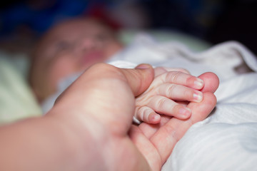 Father's hand holding the baby's hand, close view
