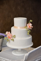 white wedding cake isolated