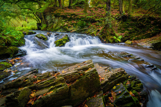 Wasserfall im Harz im Herbst