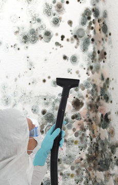Professional Mold removal on a house wall