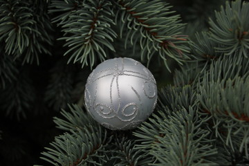 Fototapeta na wymiar Christmas tree with a ball close-up