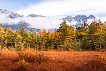 Beautiful scenic landscape view at Kamikochi National Park in the morning