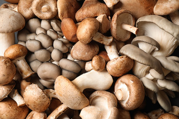 Fresh wild mushrooms as background, top view. Edible fungi © New Africa