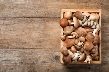 Different wild mushrooms in crate on wooden background, top view. Space for text