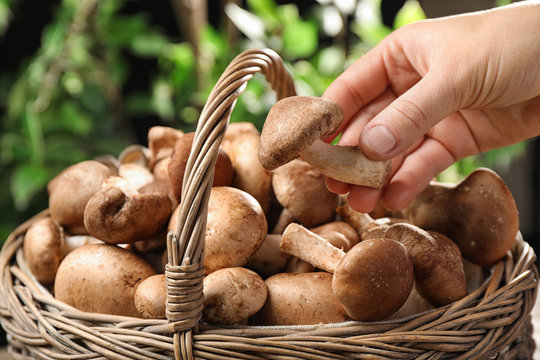 Woman Putting Fresh Wild Mushroom Into Basket On Blurred Green Background, Closeup