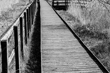 Abstract view of a timber-built footbridge showing detail of the design and construction. Spanning an inland river, the bridge is located in a forest clearing within the UK.