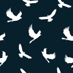  Seamless pattern: silhouette of the eagle bird in white on a dark background. vector. illustration