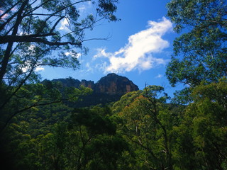 Mountain top between lush green forest against blue sky