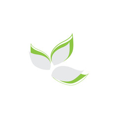 Leaf Logo Template vector symbol